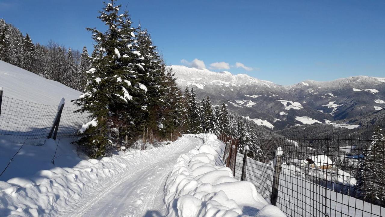 Apartma Julija Luče Esterno foto