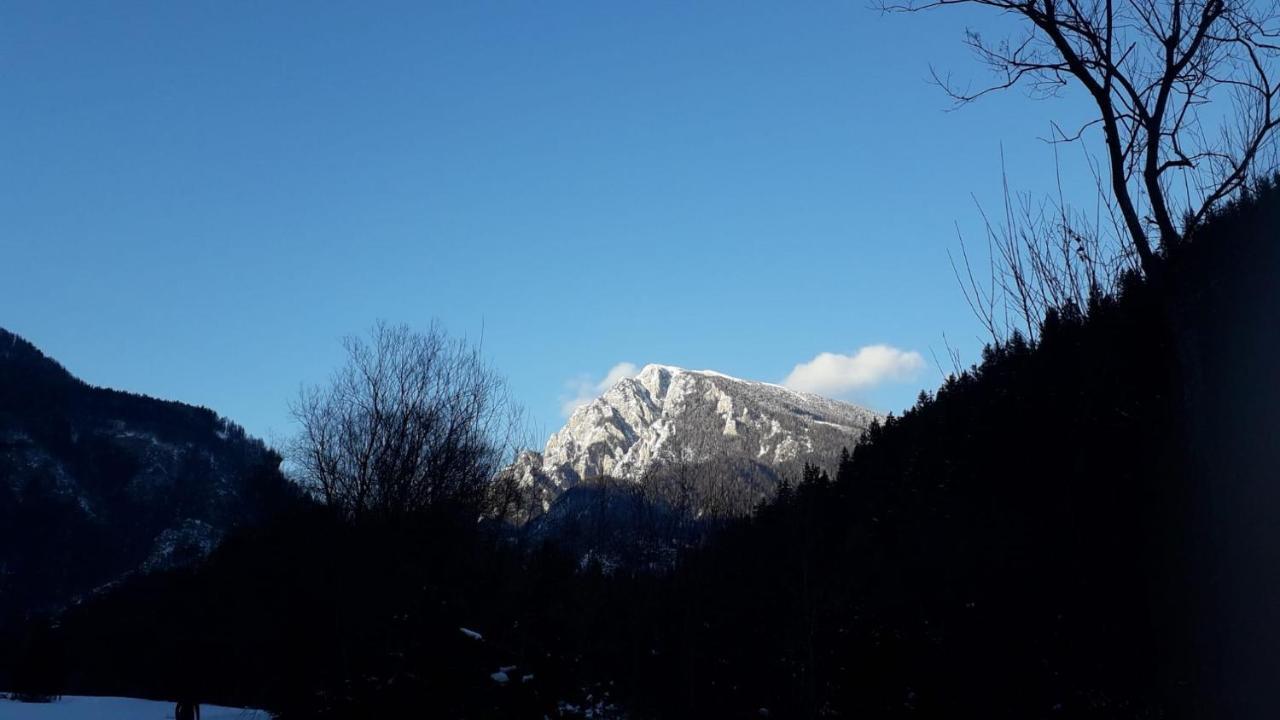 Apartma Julija Luče Esterno foto