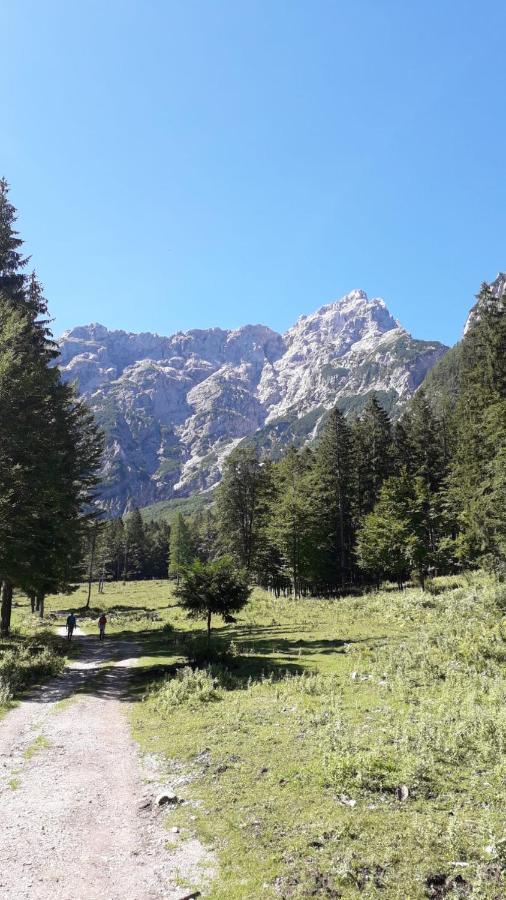 Apartma Julija Luče Esterno foto